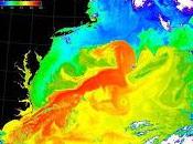 Climat Gulf Stream peut-il s'arrêter