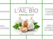 Connaissez-vous bienfaits l'ail