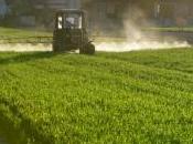 maire peut interdire pesticides près maisons commune
