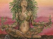 Samâdhi nécessaire