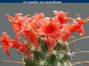 Divers cactus Mexique