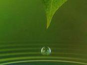 l'école silence vivant