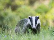 plus grosse annonce l’année fiche inédite télécharger)