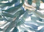 Emmanuel Merle, Démembrements Angèle Paoli