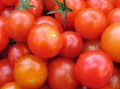 petits secrets pour récolter plein tomates cerises