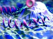 SYPHILIS Enfin, l'espoir d'un vaccin