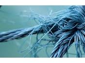 Démêler nœud l'immigration