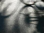 Carole Darricarrère [Bleu chemin d’ambiance dans rouge]