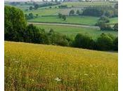 Maroc femmes Soulaliyates exclues terres collectives