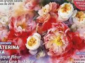 L’Art l’aquarelle