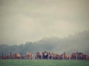 Juillet vagabond repais dans champs