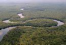 Scandale Congo deux parcs naturels ouverts l’exploitation pétrolière
