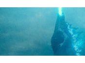Godzilla rugit premières images suite, King Monsters