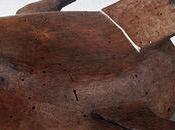 Dans collections Côte Nord-Ouest l'Amérique Cambridge