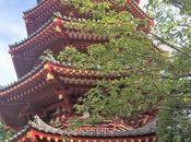 Découvrir temple Kawasaki Daishi