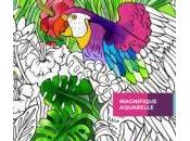 jour Tayasui Color (iPhone iPad 3,99€)