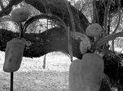 ROQUEBRUN/CEPS voyage anges Ceps août