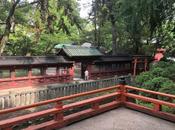 calme magnifique sanctuaire shinto Nezu-jinja Tokyo