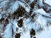 Beau août pensées pour personnes seules et/ou malades