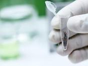 CANCER phytocannabinoïdes confirment leurs effets anticancéreux