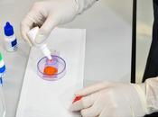 FERTILITÉ MASCULINE Boostée consommation d'alcool, mais modérée