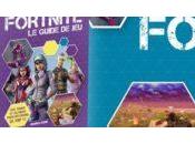 Critique Fortnite guide pour survivre Battle Royale