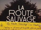 Route sauvage