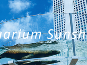 Visitez sunshine aquarium Tokyo