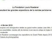 Fondation Louis ROEDERER (Grand mécène Culture)