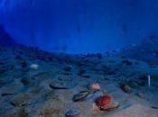 deuxième enjeu vital océans