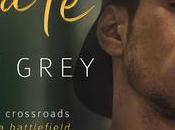 Cover reveal Découvrez résumé couverture Desolate d'Autumn Grey