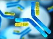 INFECTION CANCER Éliminer Sprouty rebooste système immunitaire