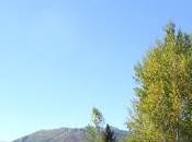 Comment feuilles changent-elles couleur