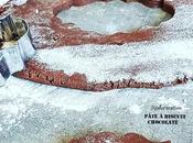 Pâte biscuit chocolatée