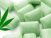 chewing-gum cannabis pour soulager douleurs fibromyalgie