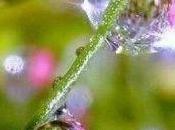 Silence offert Dedans