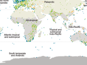 Biodiversité quand prouve capitalisme meilleur système