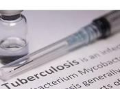 TUBERCULOSE Vers premier traitement médicamenteux antibiotique
