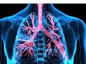 OBÉSITÉ Elle rétrécit voies respiratoires accroît risque d'asthme