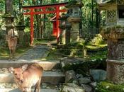 [Voyage] Japonisme nous emmène dans soirée Nara Kansai