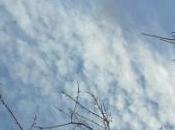 Sophie Braganti [Des fois regarde avec absences]