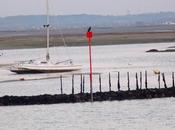 novembre chez moitié