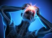 AGRESSION SOCIALE Mieux comprendre neurobiologie