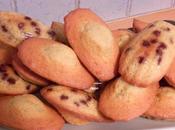 Madeleines extras pépites chocolat raisins secs)