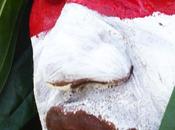 Sommaire novembre 2018