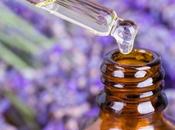 AROMATHÉRAPIE Pourquoi lavande anxiolytique