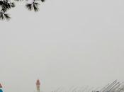 marche pour climat saint-nazaire