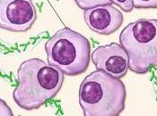 #thelancet #transplantation #cellulessouches #ixazomib Thérapie d’entretien avec ixazomib suivant transplantation autologue cellules souches (TOURMALINE-MM3) étude phase randomisée double-aveugle contrôlée placebo