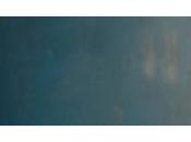 Critique Bird film prendre envol