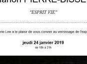 Galerie exposition Marion PIERRE-BISSEY Esprit partir Janvier 2019